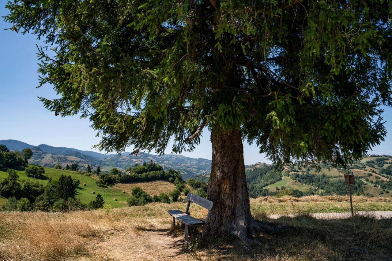 My Little Village Poiana Mărului Dış mekan fotoğraf