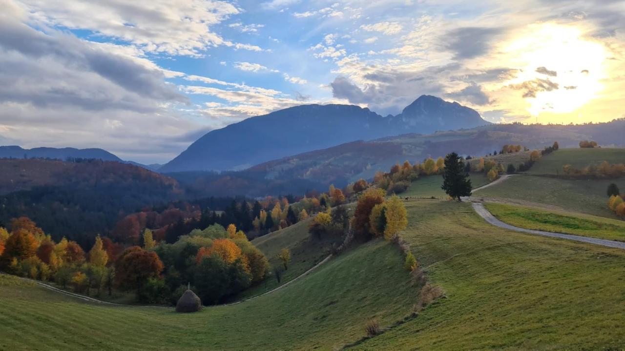 My Little Village Poiana Mărului Dış mekan fotoğraf