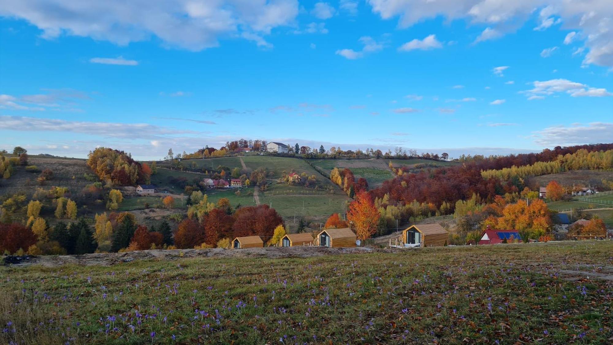 My Little Village Poiana Mărului Dış mekan fotoğraf