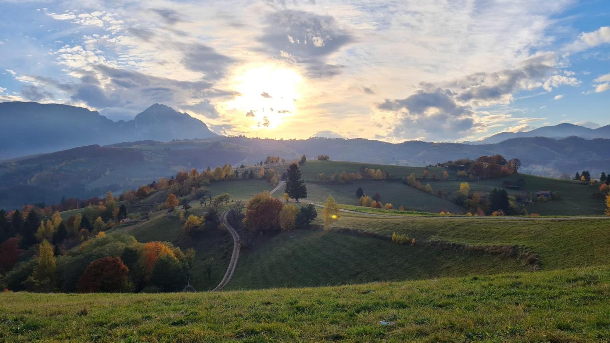 My Little Village Poiana Mărului Dış mekan fotoğraf
