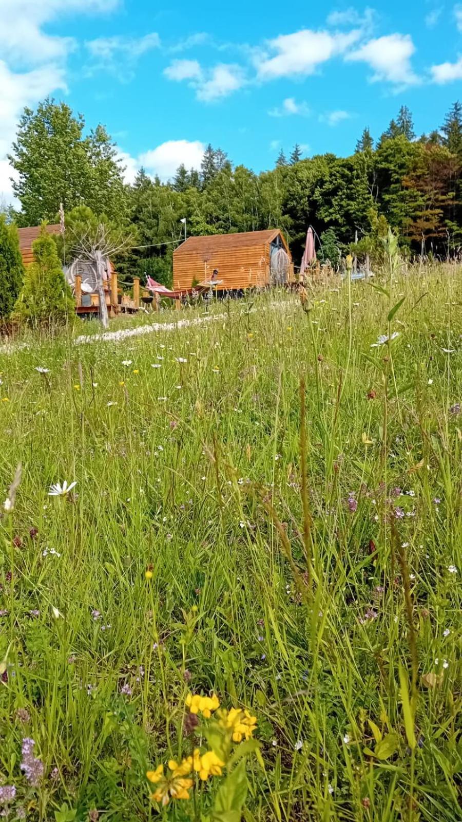 My Little Village Poiana Mărului Dış mekan fotoğraf