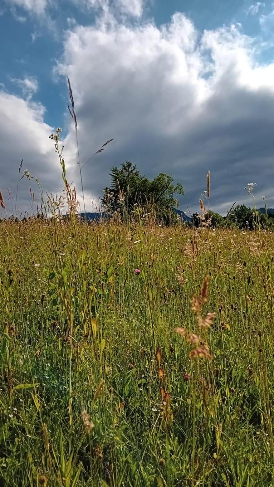 My Little Village Poiana Mărului Dış mekan fotoğraf